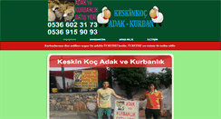 Desktop Screenshot of keskinkoc.com