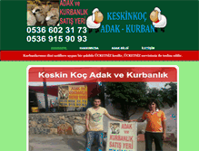 Tablet Screenshot of keskinkoc.com